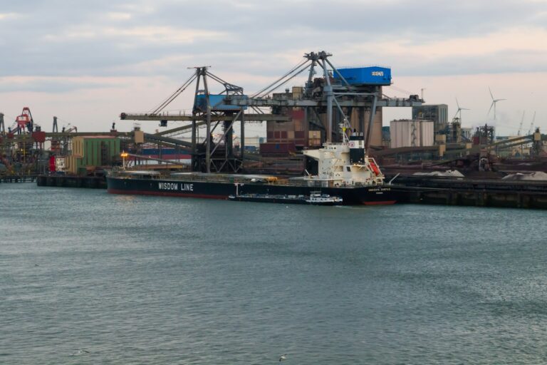 Bulk cargo terminal